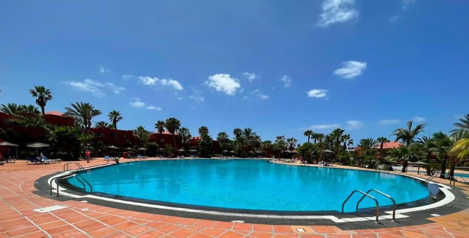 Casa Cayenne - Stylish Apartment With Ocean/Dune View كوراليهو المظهر الخارجي الصورة